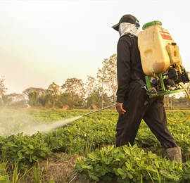 Agriculture